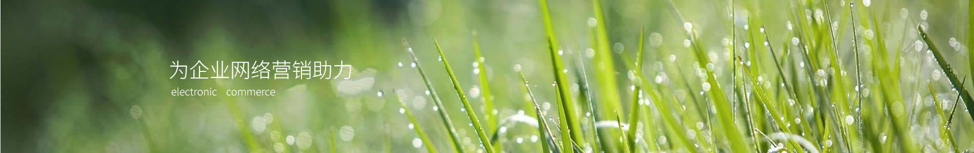 ݸȻ޹˾